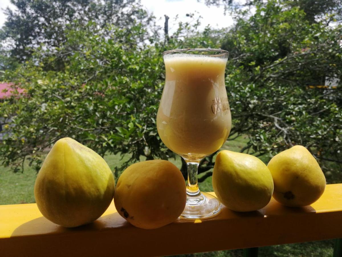 Hospedaje Rancho Guadalupe La Suiza 外观 照片
